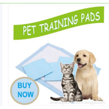 Pet pad training products OEM brand